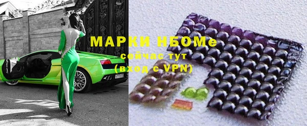 эйфоретик Вяземский